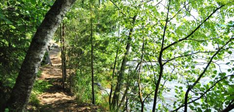 Kuva Villilänsaaren luonnonsuojelualueelta polulta järven rannalta.