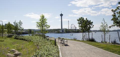Kiiskisaarenpuiston rantaraittia ja istutuksia. Taustalla Näsinneula ja Särkäniemi