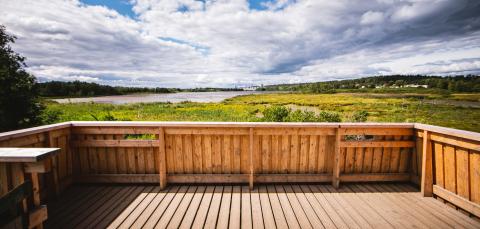 Lintutornin huipulta näkyy lintuvesiä.