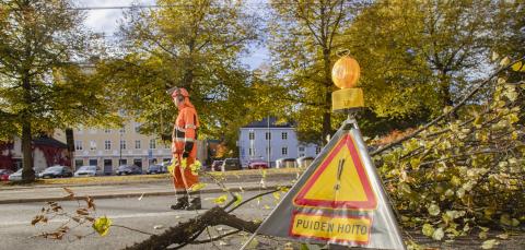 Puiden kaadosta varoittava liikennemerkki, leikattuja puun oksia ja liikenteen ohjaaja.