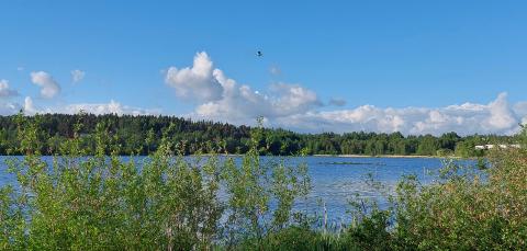 Iidesjärven etelärantaa kesällä.