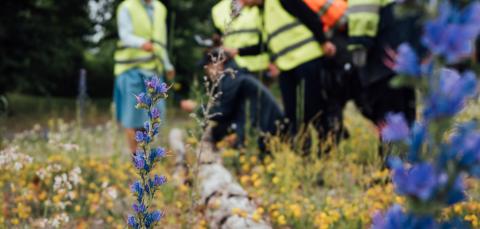 Talkoolaisia hoitamassa ketokasvillisuutta.