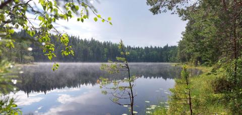 Mist after rain at Makkarajärvi.