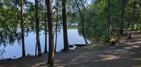 Näkymä Ahvenisjärvelle ja rantapolku.