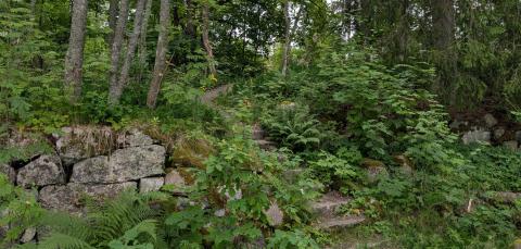 Metsittyneet rappuset Kaukaniemen puistossa.