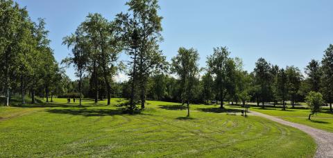 Yleisnäkymä Vihiojanpuiston puista ja kulkuväylistä.