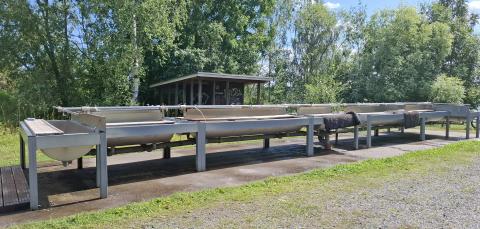 Matonpesualtaat Iidesjärven pohjoisrannan matonpesupaikalla.