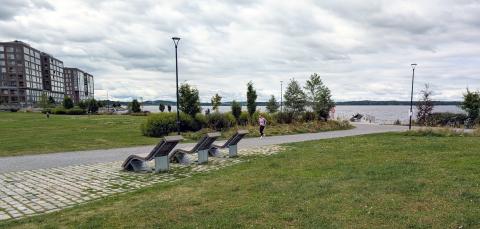 Massunlastenpuiston nurmea ja auringonottotuoleja.