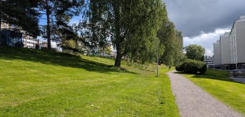 Pellervonpuiston rinne ja puistokäytävä.