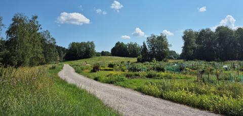 Varsanpuiston maastoa sekä kävely- ja pyörätie.
