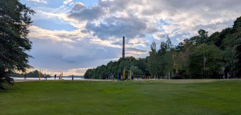 Atlaspuiston nurmialue kesäiltana.