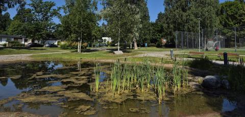 Jaakonmäenpuiston hulevesiallas.