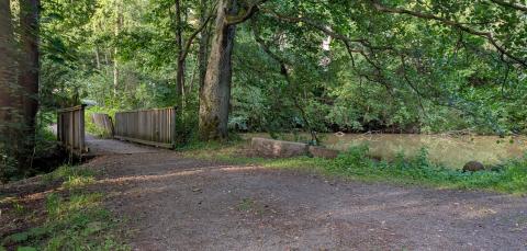 Puusilta, lampi ja vehreää metsää Lorisevanpuistossa.