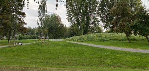 Nurmea, puita ja soritettu polku Juvelanpuistossa.