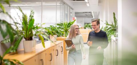 Kaksi ihmistä juttelevat toimistolla