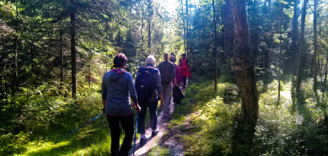 Ihmisiä kävelemässä pitkospuilla metsässä.