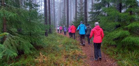 A group of people is walking on a forest path, surrounded by tall trees and mist.