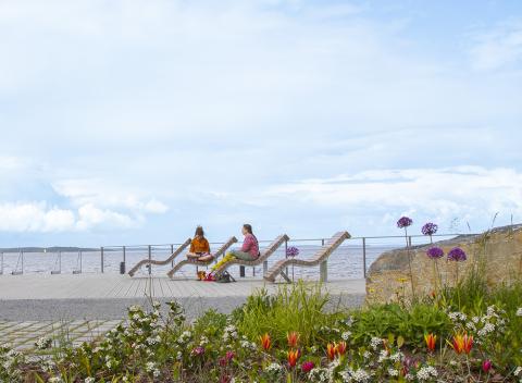 Naiset istuskelevat aurinkotuoleissa Ranta-Tampellassa Näsijärven rannalla, etualalla kukkia.