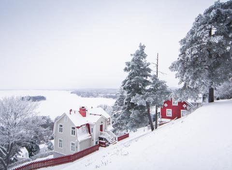 Luminen  näkymä Pyykkimettänpuistosta, kaksi omakotitaloa ja Pyhäjärvi taustalla.
