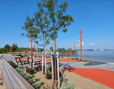 Penkkejä, puita ja kasvillisuutta Näsin puistosillalla. 