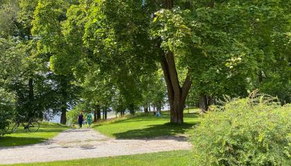 Kävelijöitä Hatanpään Kartanopuistossa. 