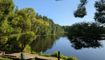 Ahvenisjärven rantaa, jossa näkyy Ahvenisjärvi ja Terijoen salavia.
