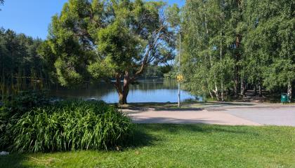 Ahvenispuiston itärantaa.