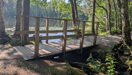 Puusilta Ahvenispuiston rantapolulla.