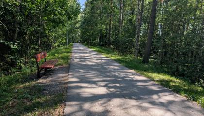 Kävely- ja pyörätie Ahvenispuistossa.