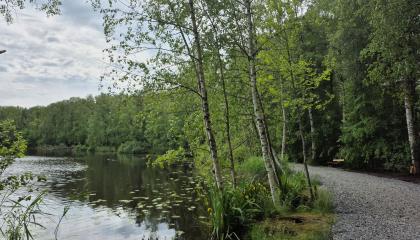 Isolammin rantaa ja kävelytie.