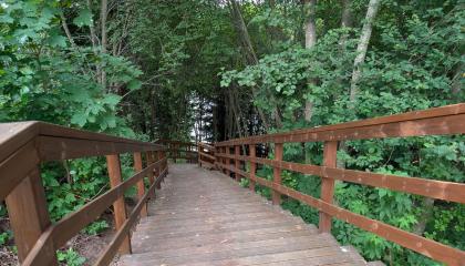 Rantaan johtavat portaat Kaukaniemessä.