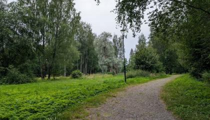 Puistokäytävä Kaukaniemessä.