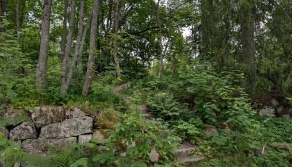 Metsittyneet rappuset Kaukaniemen puistossa.