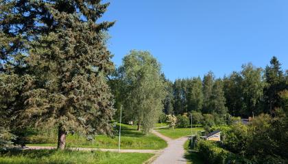 Yleisnäkymä Litukanpuistosta, siirtolapuutarhan vieressä.