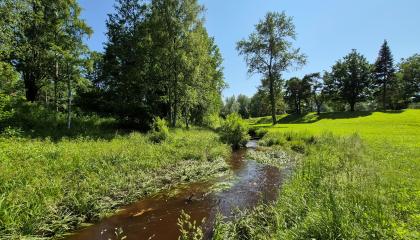 Vihiojanpuiston keskellä virtaa joki.