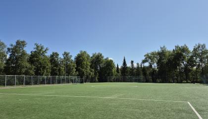 Vihiojanpuiston kenttä.