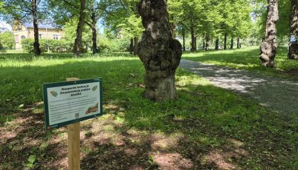 Maaperän hoidosta kertova kyltti Viinikanpuistossa.