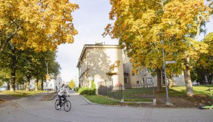 Kirjastonpuiston puita keltaisissa syysväreissä.