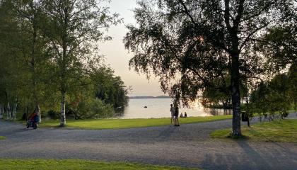 Arboretumin rantaa ilta-auringossa.