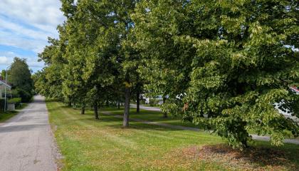 Härmälänpuiston itäosa.