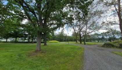 Järvensivunpuiston puistokäytävää.