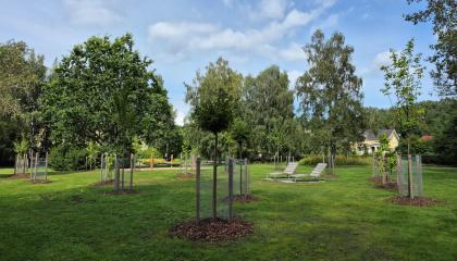 Järvensivunpuiston auringonottotuolit ja puuistutuksia.