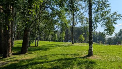 Kalevan keskuspuiston puustoa.