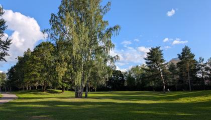 Kalevan keskuspuiston oleskelunurmea.