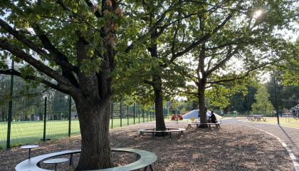 Kiovanpuiston penkkejä puiden ympärillä.