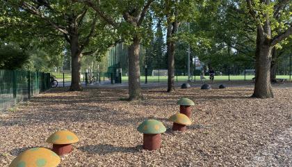 Kiovanpuiston sienipolku.