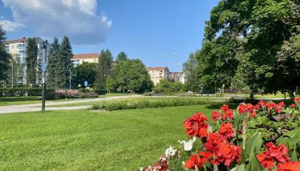 Kiovanpuiston nurmea ja kukkaistutuksia.