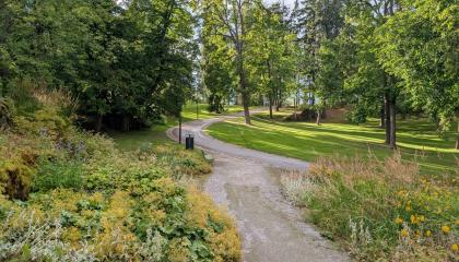 Puistokäytävä Näsinpuistossa.