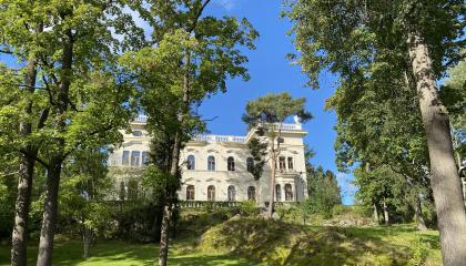 Milavida Näsinpuistossa puiden takana.