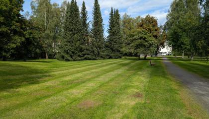 Perkiönpuiston nurmialuetta.